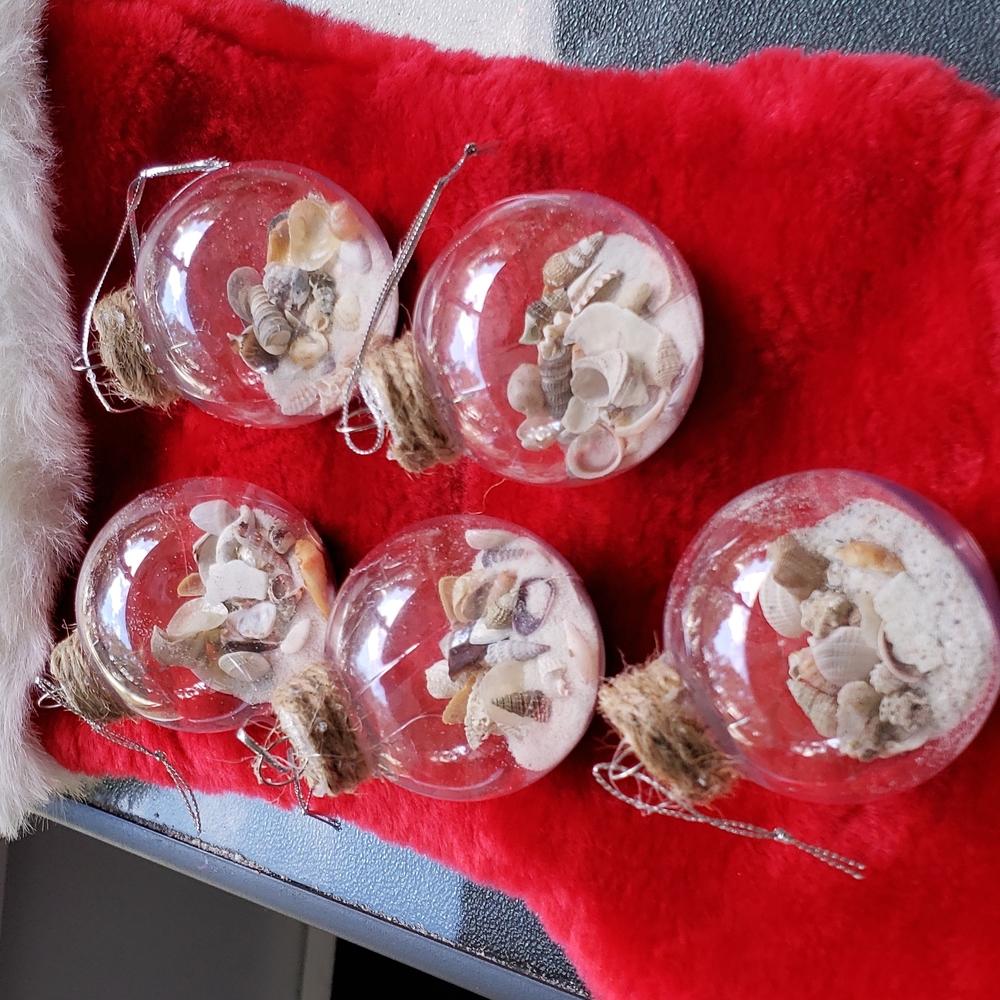 One Of A Kind Florida Seashell Ornaments